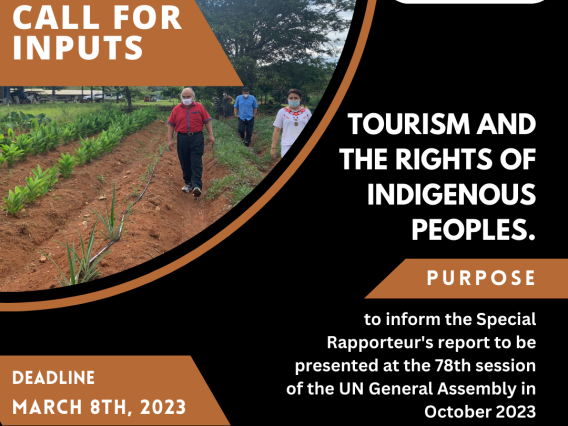 call for inputs tourism