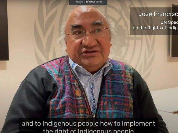 Special Rapporteur on the rights of indigenous peoples at IWGIA