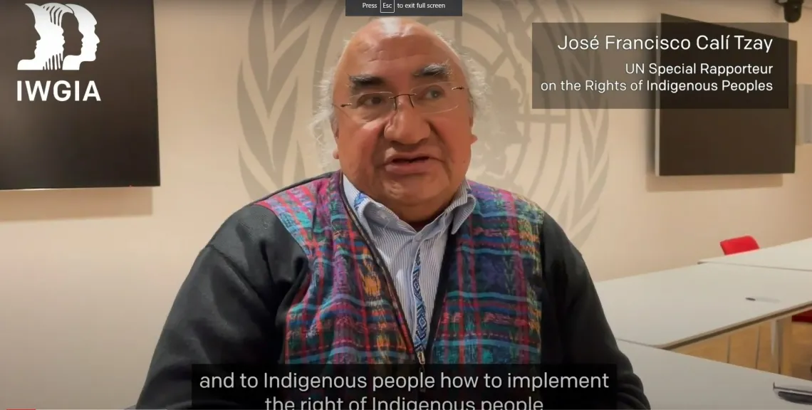 Special Rapporteur on the rights of indigenous peoples at IWGIA